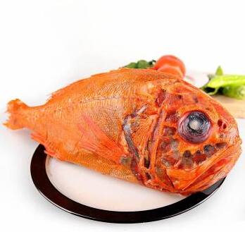 新西蘭長壽魚