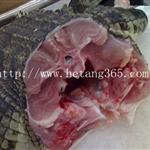 鱷魚肉